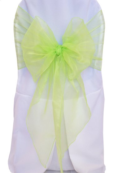 Sample 12"x116" Angle End Organza Chair Sashes - Apple Green (1pc)